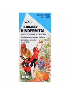 Floradix Floradix Kindervitalus 250 ml