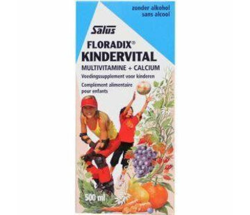 Floradix Floradix Kindervitalus 250 ml