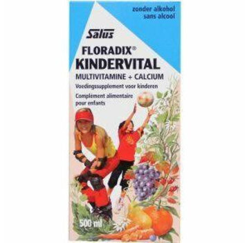 Floradix Floradix Kindervitalus 250 ml