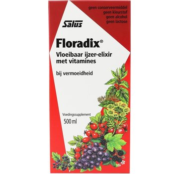 Floradix Floradix IJzer-elixir – Bij vermoeidheid