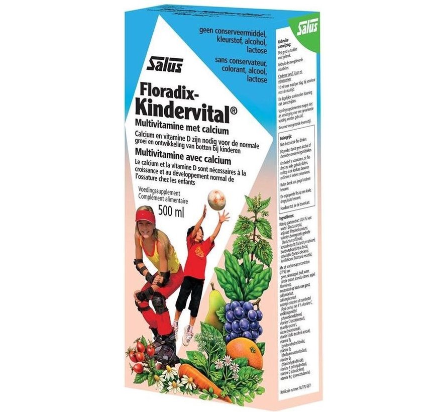 Floradix Kindervitalus 250 ml