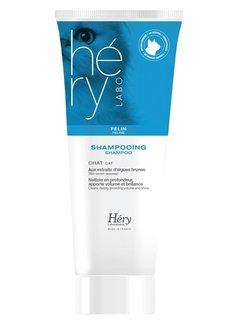 Hery Hery shampoo kat