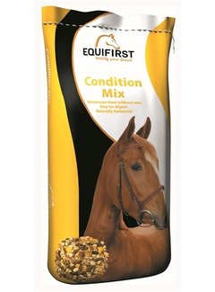 Equifirst Equifirst condition mix
