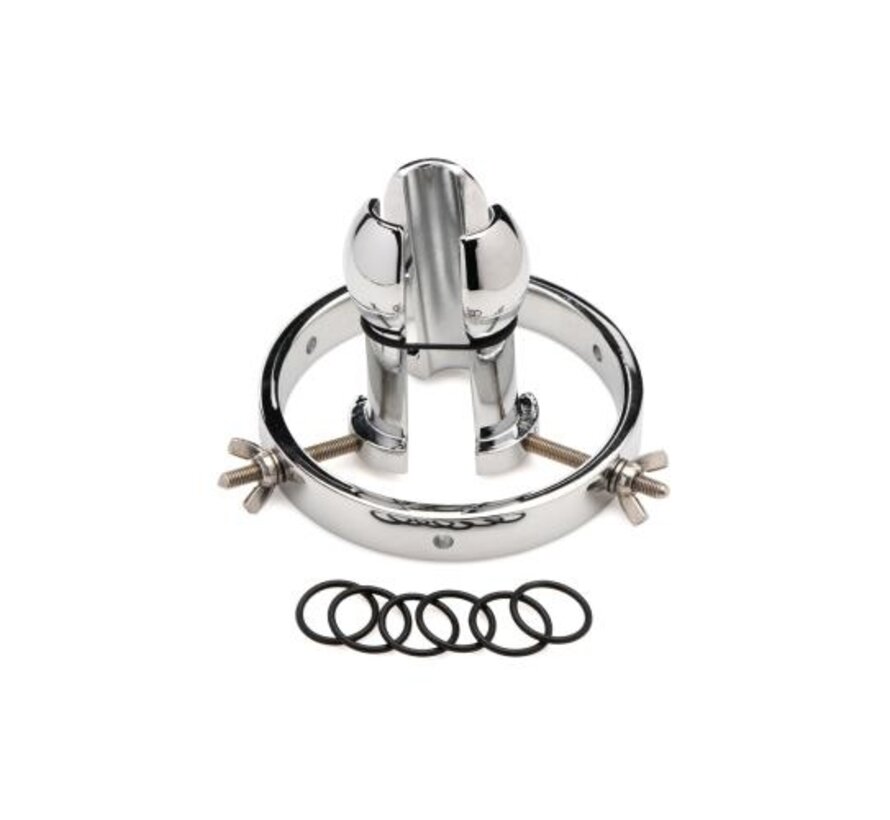 Roestvrij Stalen Anaal Verkenner