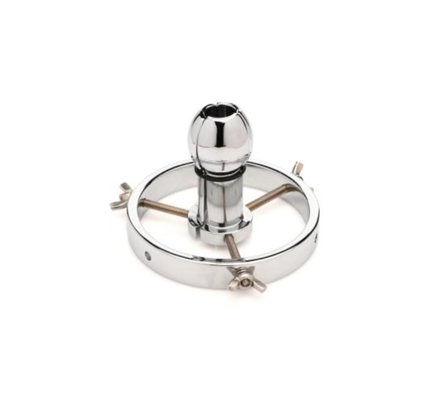 Roestvrij Stalen Anaal Verkenner