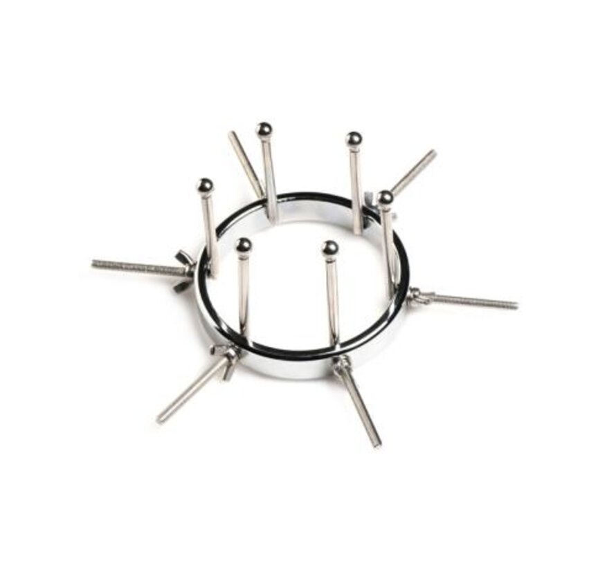 Oculus Roestvrij Stalen Buttplug