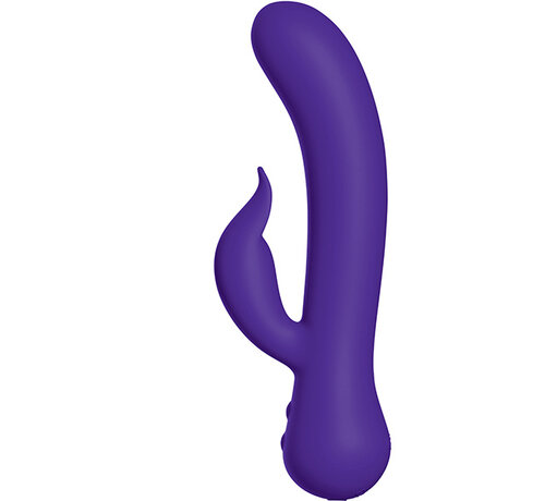 Swan Vibes Swan - The Duchess Swan