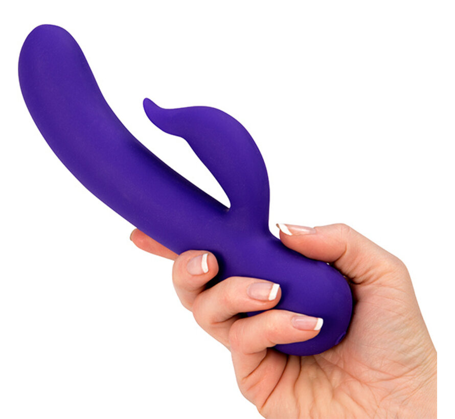 Swan - The Duchess Swan