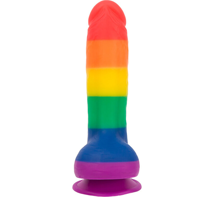 Addiction - Justin 20 cm Dong Regenboog