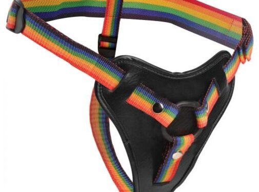 Strap U Take the Rainbow Universeel Strap-on Harnas