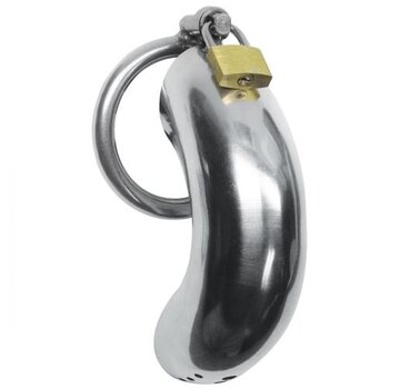 Master Series Roestvrij Stalen Penis Kooi Met 3 Ringen