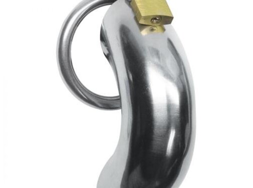 Master Series Roestvrij Stalen Penis Kooi Met 3 Ringen
