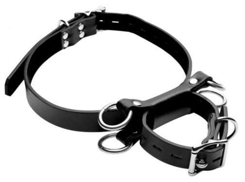 Master Series Frog Tie Restraints Beenboeien