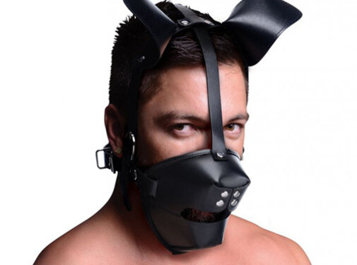 Master Series Puppy Play Masker Met Ballgag - Zwart