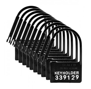Master Series Keyholder Kuisheidskooi Hangslotjes - 10 Stuks