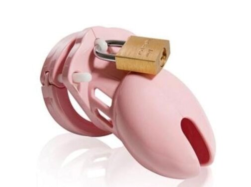 CB-X CB-6000 Kuisheidskooi - Roze