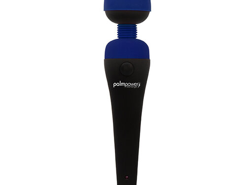 Palm Power PalmPower - Recharge Wand Massager Blue
