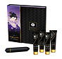 Shunga - Naughty Geisha Kit