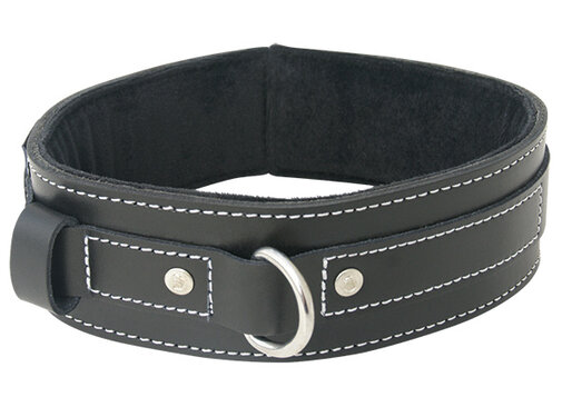 Sportsheets Sportsheets - Edge Lined Leather Collar