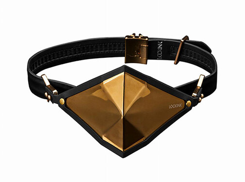 LOCKINK - Golden Punker Muzzle Gag Set  Gold