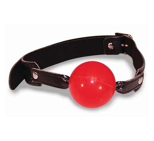 Sportsheets Sportsheets - Sex & Mischief Balknevel Massief