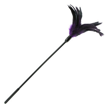 Sportsheets Sportsheets - Starburst Tickler Violet