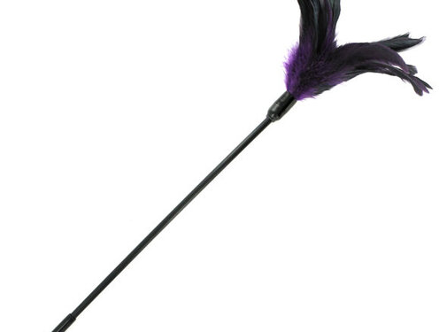 Sportsheets Sportsheets - Starburst Tickler Violet