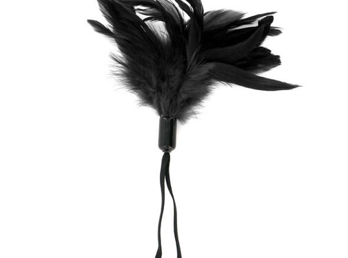 Sportsheets Sportsheets - Pleasure Feather Zwart