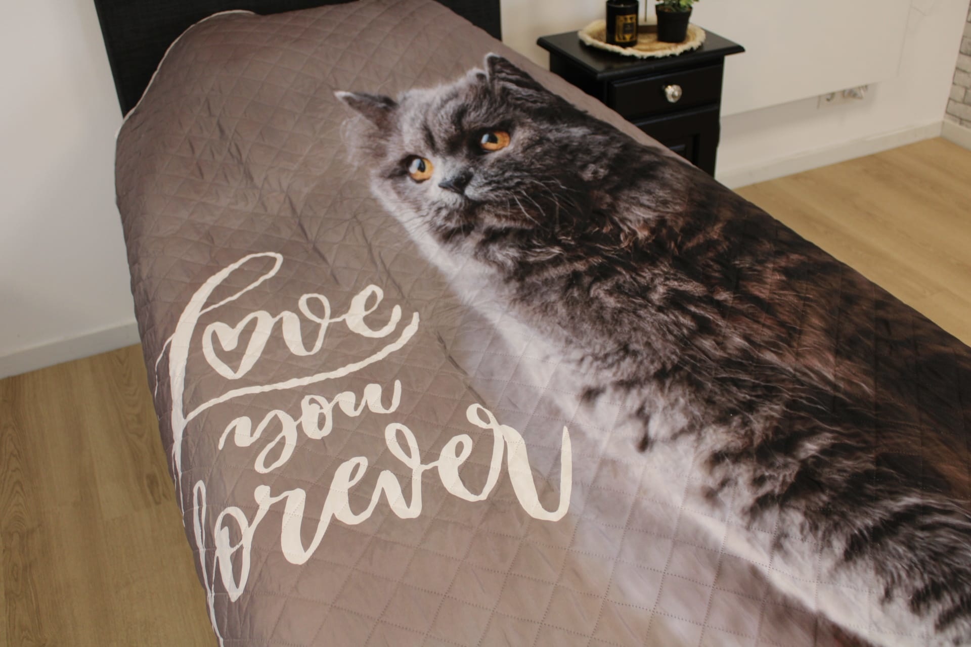 Bedsprei Kat love forever - 170x210 cm
