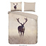 Good Morning Dekbedovertrek Namica Deer – Hert in Graslandschap – 140x220 cm – 100% Katoen – Inclusief Kussensloop 60x70 cm