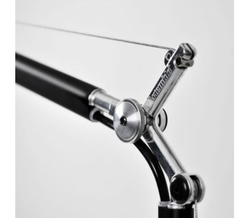 Artemide Tolomeo bureaulamp met klem Tolomeo bureaulamp met klem