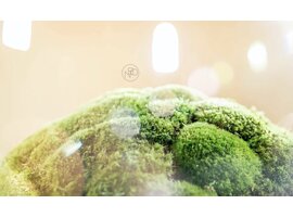 Sphere akoestisch/decoratieve mosbol