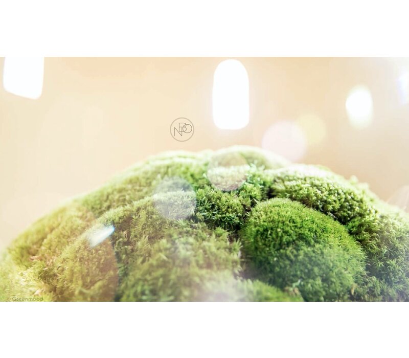 Sphere boule de mousse acoustique / décorative