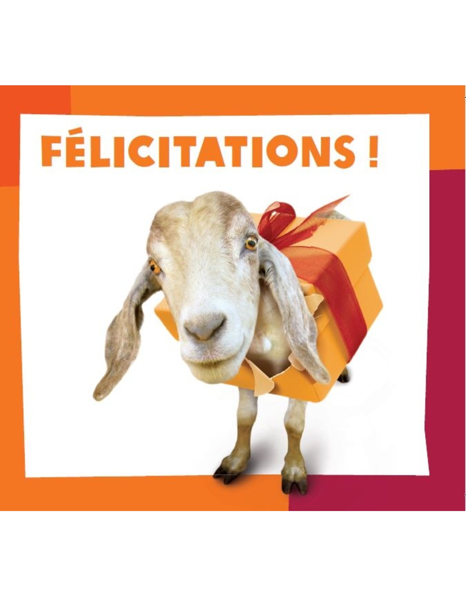 Classique - Chèvre 'Félicitations'