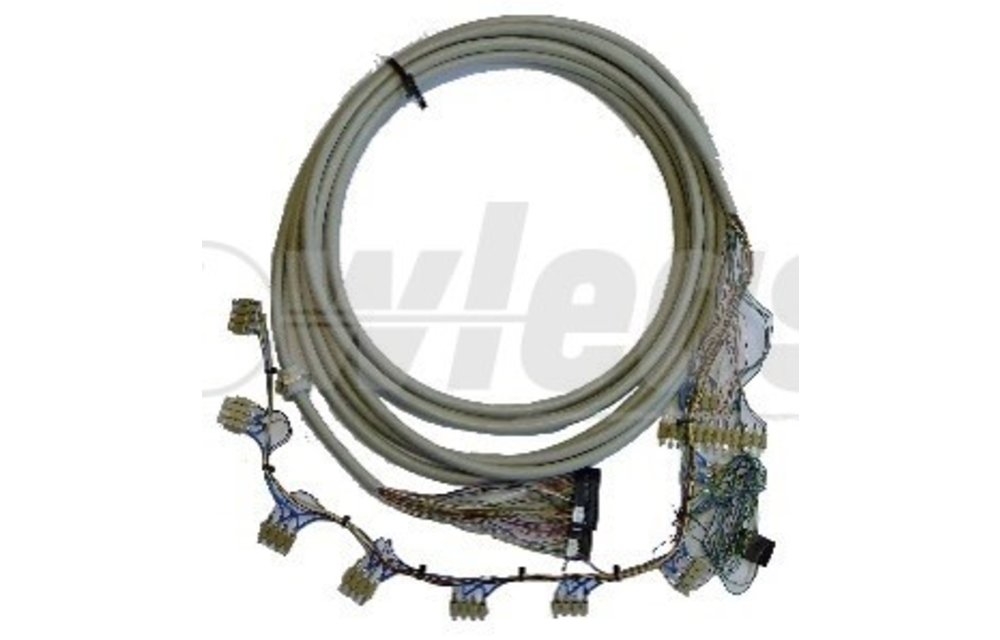 Connection Cable Magnet / Switches EU