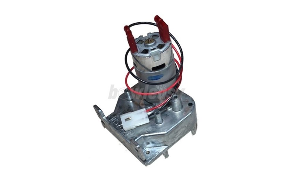 Cleaner Pump Motor Asm. (24V)