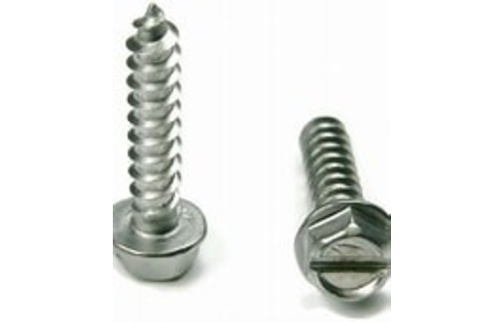 Slotted hex head screw (Bag of 10)