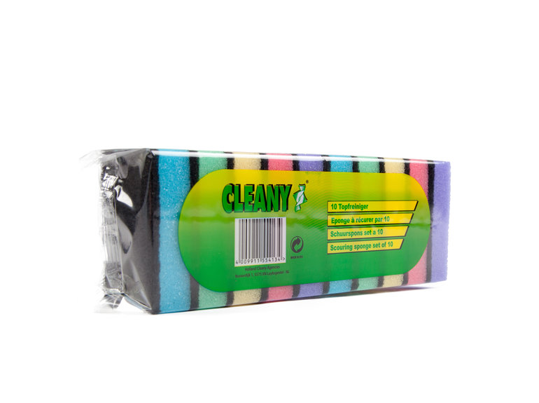 Cleany Schuurspons set à 10 ca 90x60x24mm