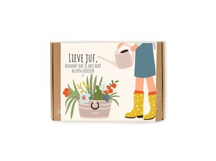Blossombs Blossombs giftbox small | 7 zaadbommetjes | Lieve juf Blossombs giftbox small | 7 zaadbommetjes | Lieve juf