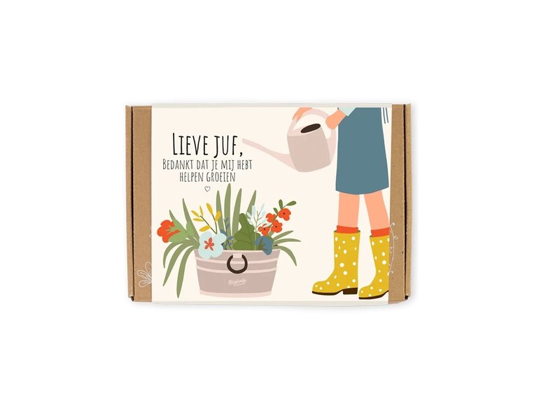 Blossombs Blossombs giftbox small | 7 zaadbommetjes | Lieve juf