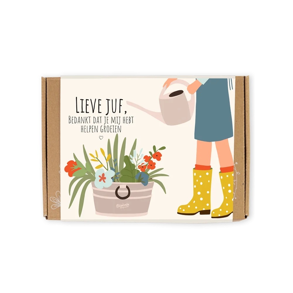 Blossombs Blossombs giftbox small | 7 zaadbommetjes | Lieve juf