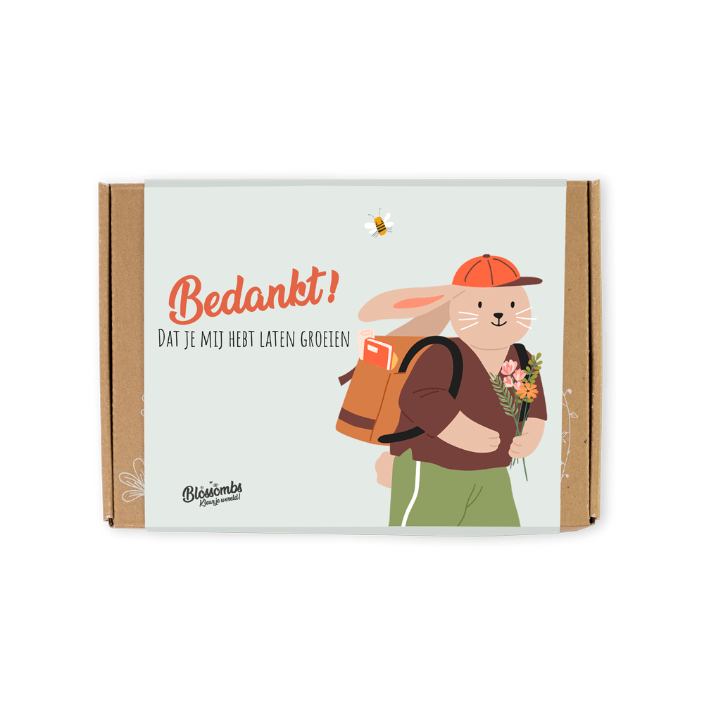 Blossombs Blossombs giftbox small | 7 zaadbommetjes | Bedankt leraar