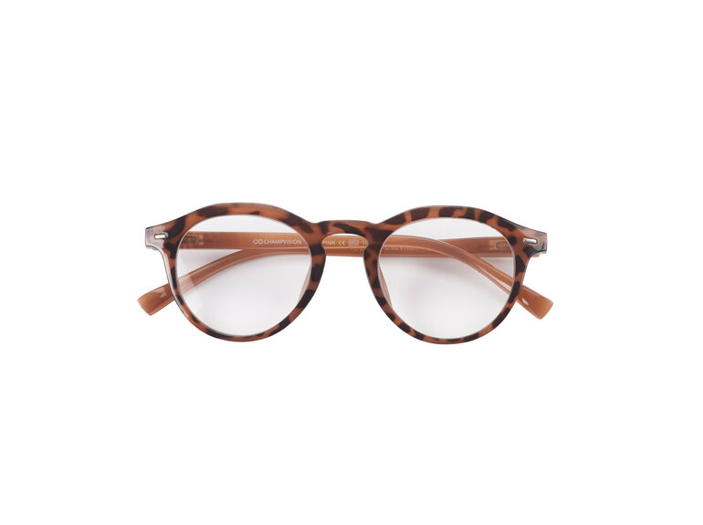 Champvision Zonnebril & Leesbril Display 2-in-1 - 240 stuks