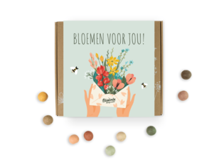 Blossombs Blossombs giftbox medium | 9 zaadbommetjes | Bloemen voor jou Blossombs giftbox medium | 9 zaadbommetjes | Bloemen voor jou