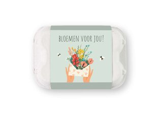 Blossombs Blossombs Eierdoosje |  6 zaadbommetjes | Bloemen voor jou Blossombs Eierdoosje |  6 zaadbommetjes | Bloemen voor jou