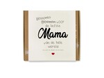 Blossombs Blossombs  giftbox Moederdag | Tekst | 9 zaadbommetjes