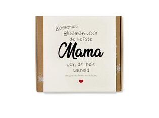 Blossombs Blossombs  giftbox Moederdag | Tekst | 9 zaadbommetjes Blossombs  giftbox Moederdag | Tekst | 9 zaadbommetjes