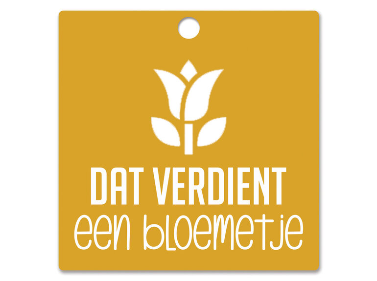 Creatief Art houten cadeaulabels met display | 120 labels Creatief Art Creatief Art houten cadeaulabels met display | 120 labels