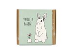 Blossombs Giftbox Medium | 9 zaadbommetjes | 5 varianten Blossombs Blossombs Giftbox Medium | 9 zaadbommetjes | 5 varianten