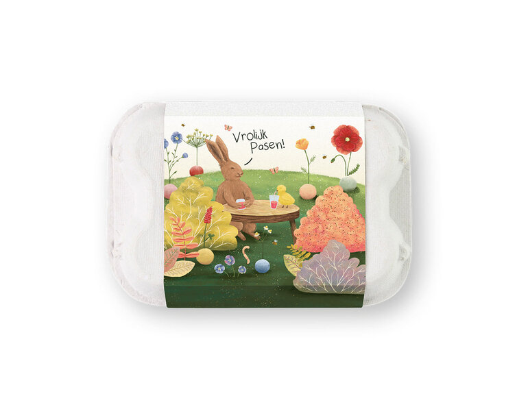 Blossombs Eierdoosje | 6 zaadbommetjes | 6 varianten Blossombs Blossombs Eierdoosje | 6 zaadbommetjes | 6 varianten